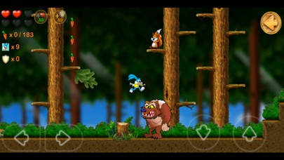 Beeny Rabbit Adventure World Screenshot