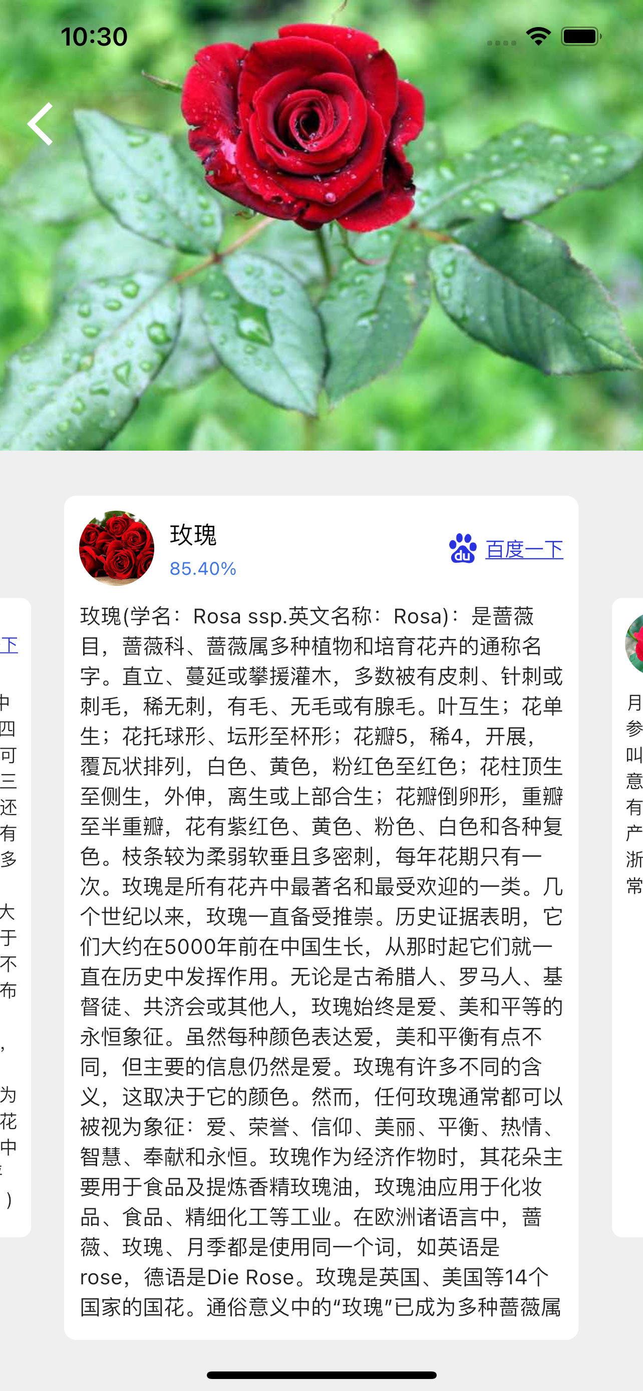 拍照识物-智能识别动植物花果蔬菜货币等