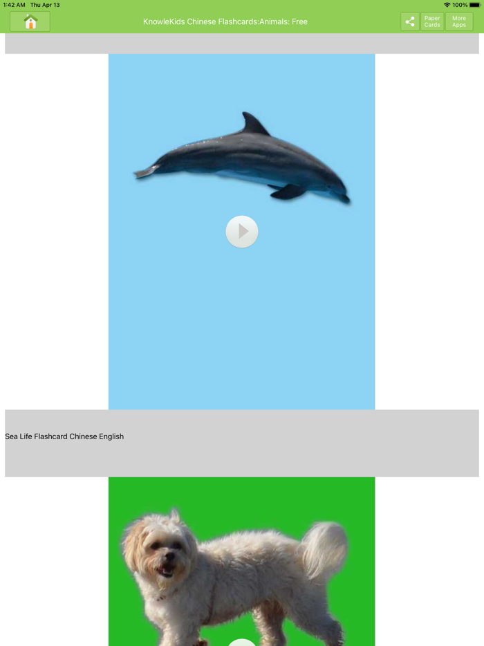 Chinese Flashcards Lite