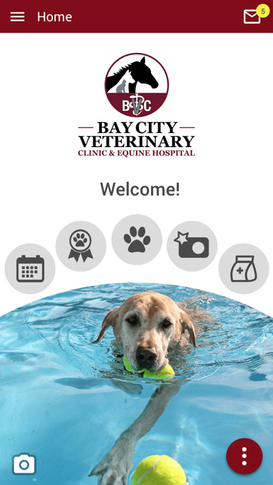 Bay City Vet and Equine Screenshot