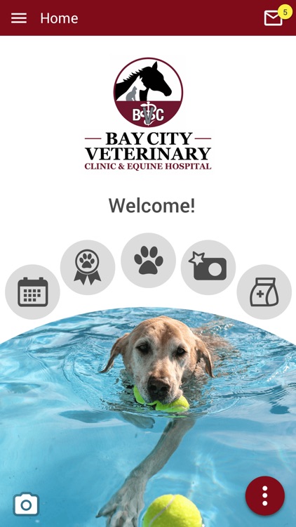 Bay City Vet and Equine