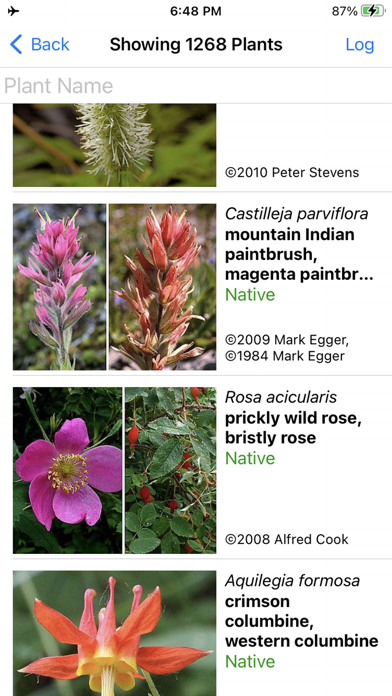 Alaska Wildflowers SC Screenshot