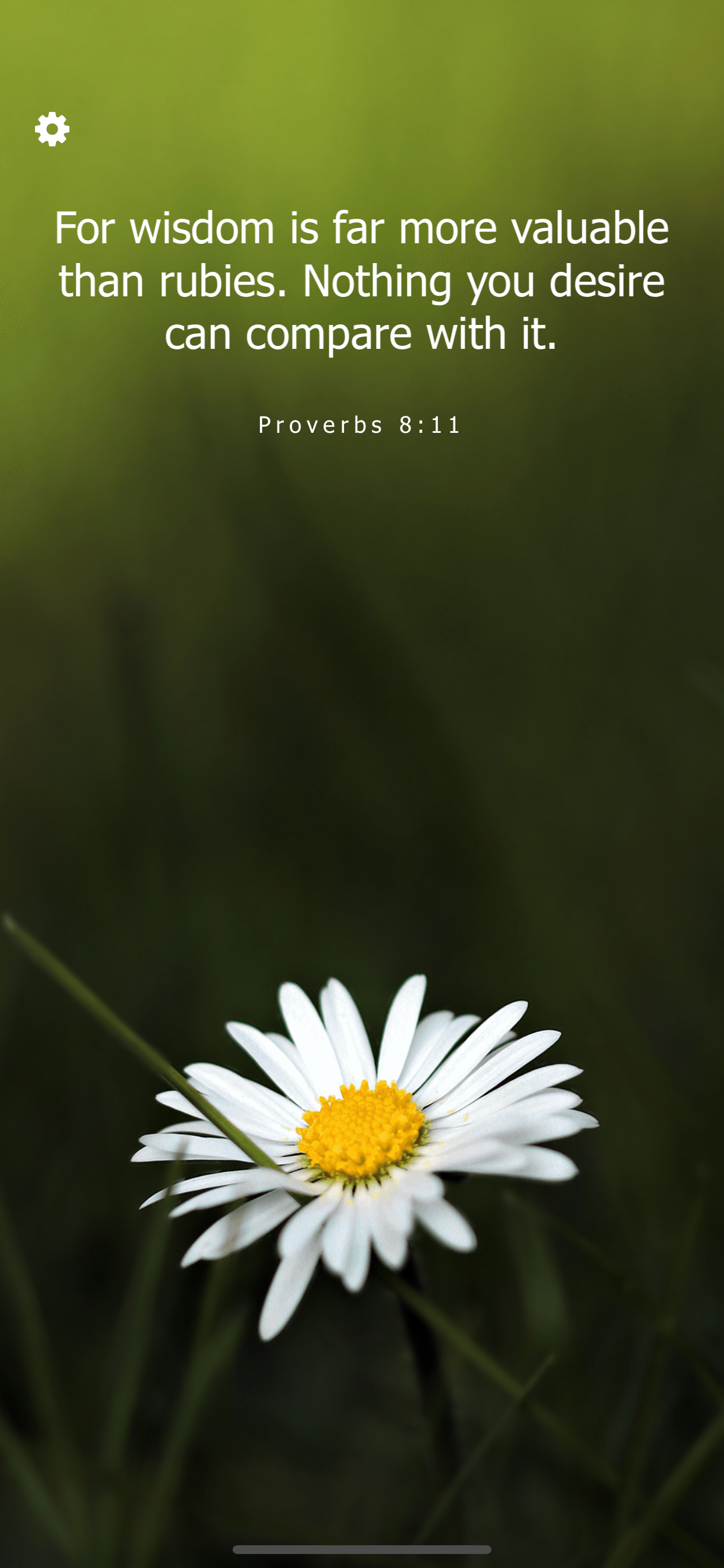 Bible Verses Daily Scriptures