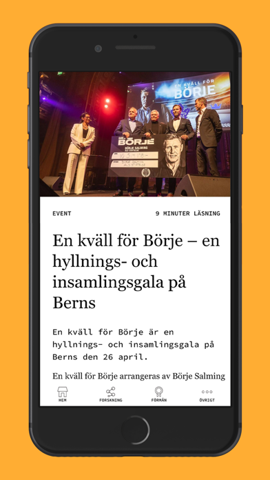 Team Börje Screenshot