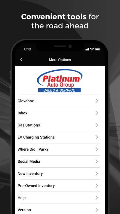 Platinum Auto Group Screenshot