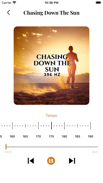 Chase the Zen screenshot-4