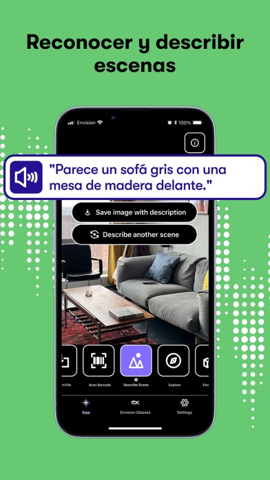 Envision AI