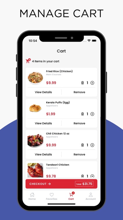 Indian Delights Texas screenshot-4