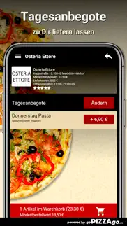 osteria ettore maxhütte-haidho problems & solutions and troubleshooting guide - 3