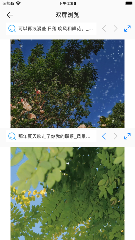 #2. 久久浏览器-好用的双屏浏览工具 (iOS) 由: 彦林 赵