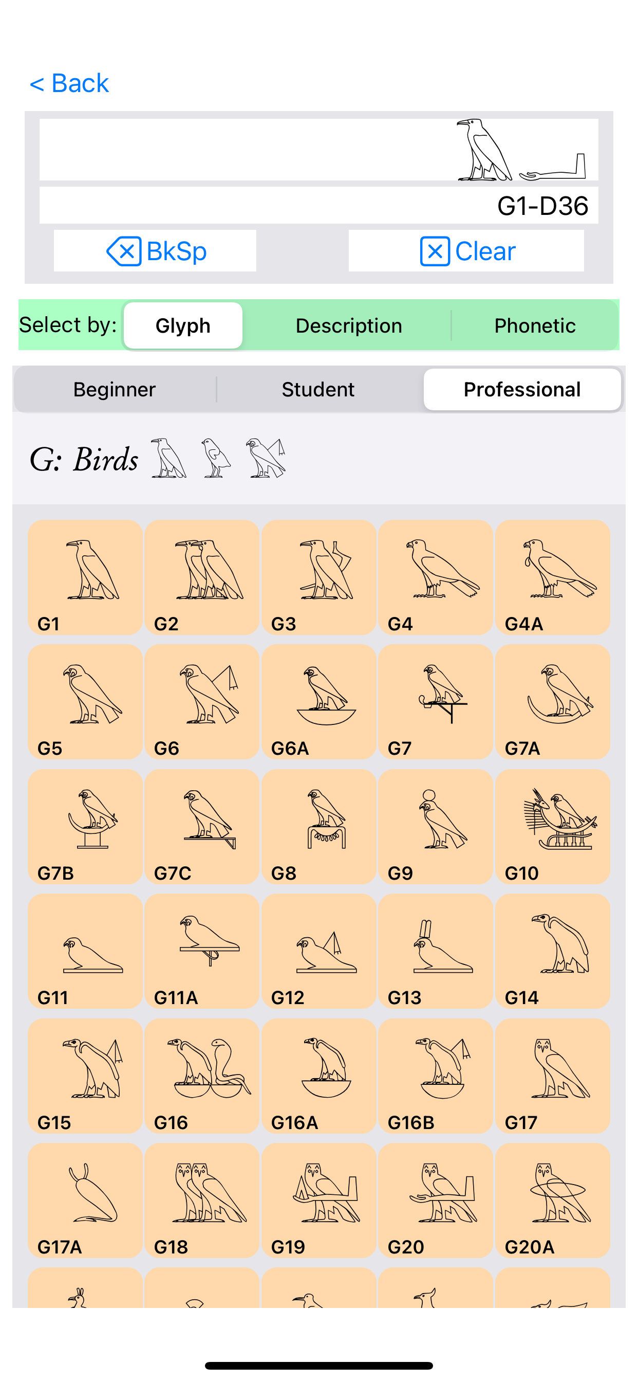 Hieroglyph Pro