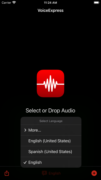 Screenshot #3 pour VoiceExpress: Audio to Text