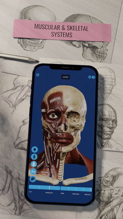 Ecorche: Portrait Anatomy Screenshot