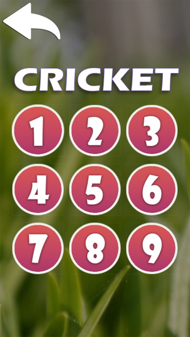 Insect sounds(fly,bee,cricket) Screenshot