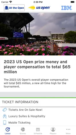 Game screenshot US Open Tennis Championships apk