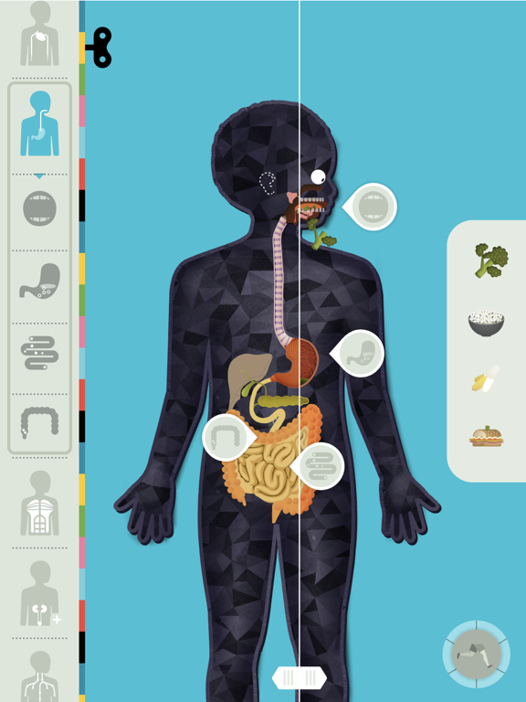 Screenshot #1 for The Human Body by Tinybop