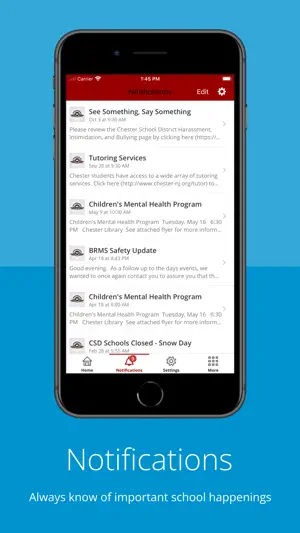 Chester School District screenshot 4