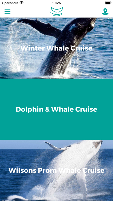 Wildlife Whales Screenshot