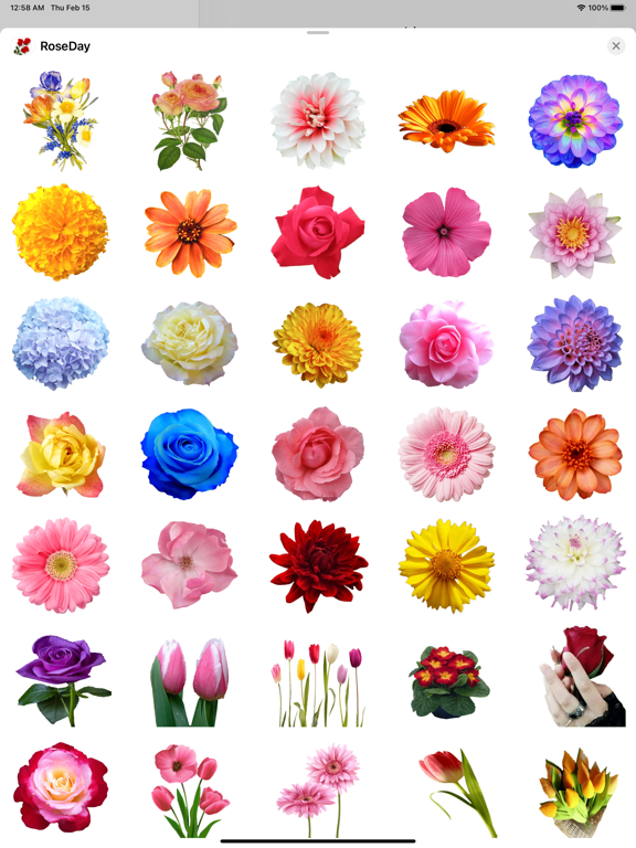 RoseDay Flower of Love Sticker iPad screenshot 8 - Stickers app