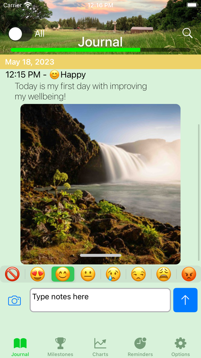 Private Daily Mood Journal