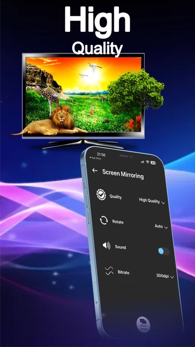 Roku: Cast To TV Screenshot