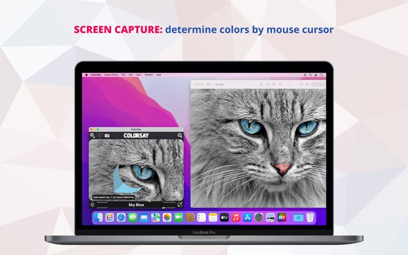 colorsay m • color scanner iphone screenshot 1