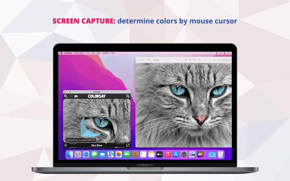 ColorSay M • Color Scanner - 2.2.0 - (macOS)