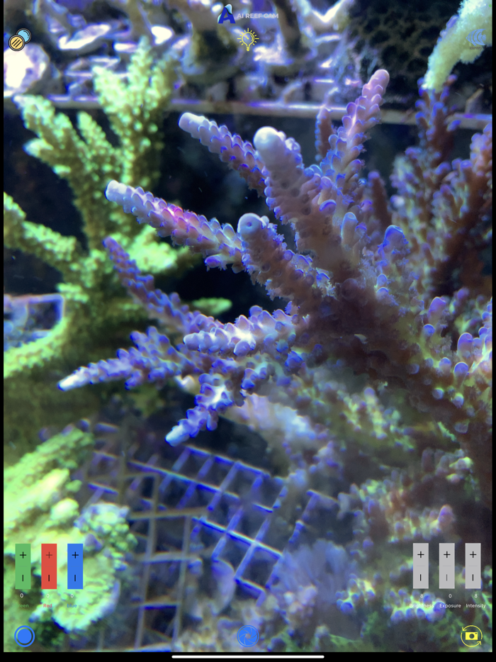 AI Reef Cam