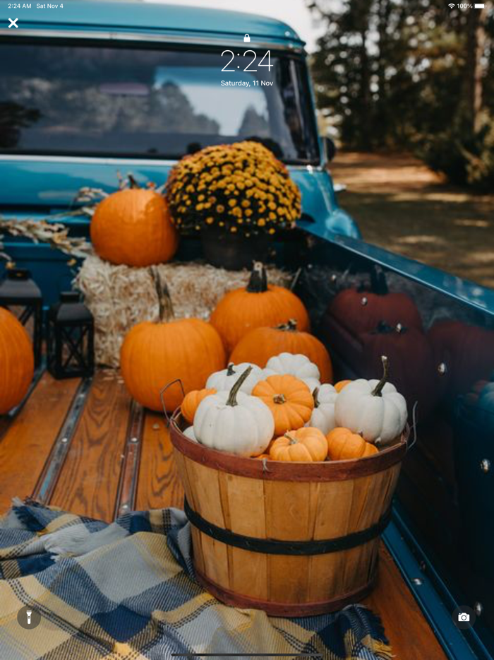 Fall wallpapers aesthetic 4k