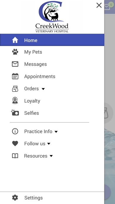 CreekWood Vet Screenshot