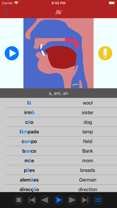 Portuguese Sounds and Alphabet Screenshot