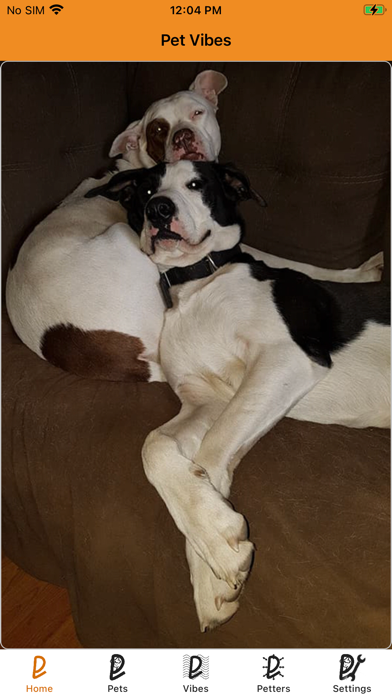 Screenshot #2 pour PetVibes