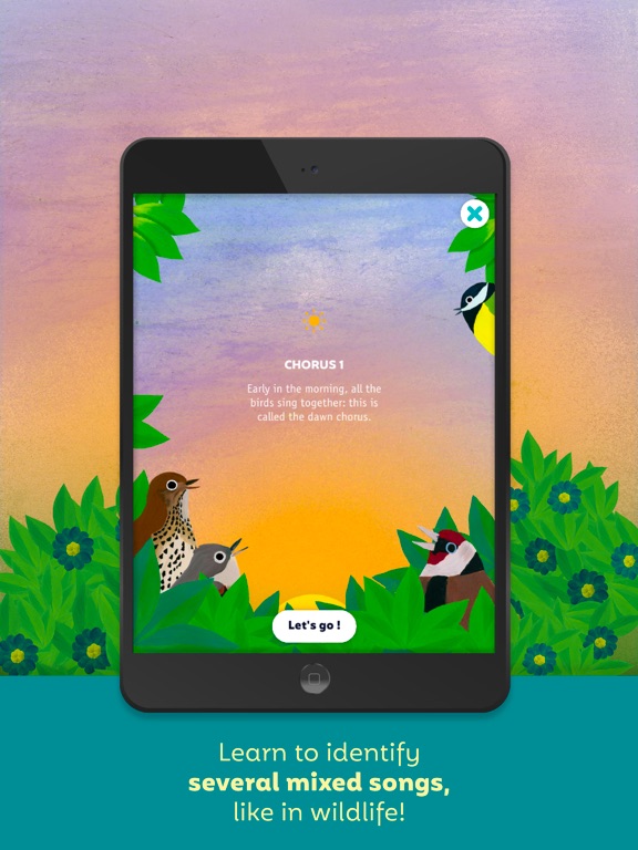 Birdie Memory iPad screenshot 6 - Entertainment app