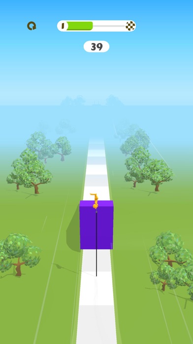 Slicy Run
