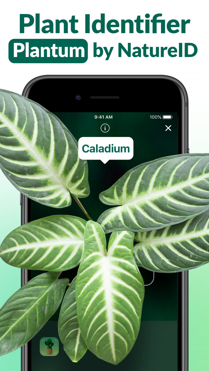 Plantum - AI Plant Identifier