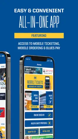 Game screenshot St. Louis Blues hack