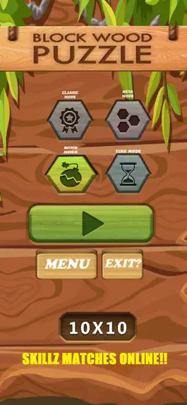 Game screenshot Puzzle Game: Wood Block Skillz mod apk