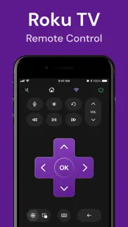 rokpilot - roku remote problems & solutions and troubleshooting guide - 2