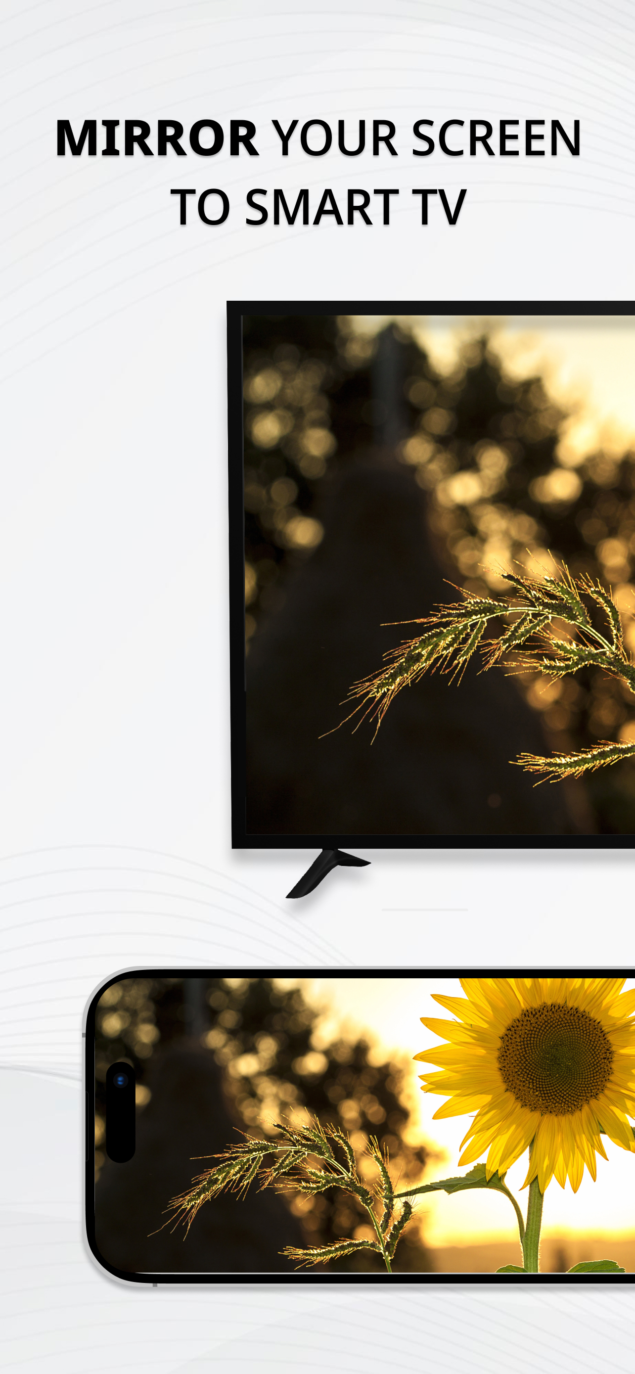 Screen Mirroring: TV Cast View