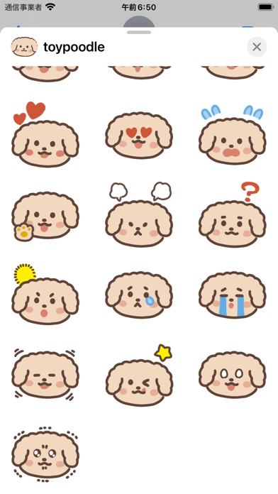 toy poodle sticker Screenshot