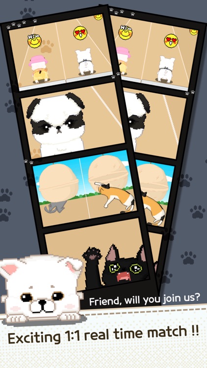 Be My Family - Dog Cat screenshot-4