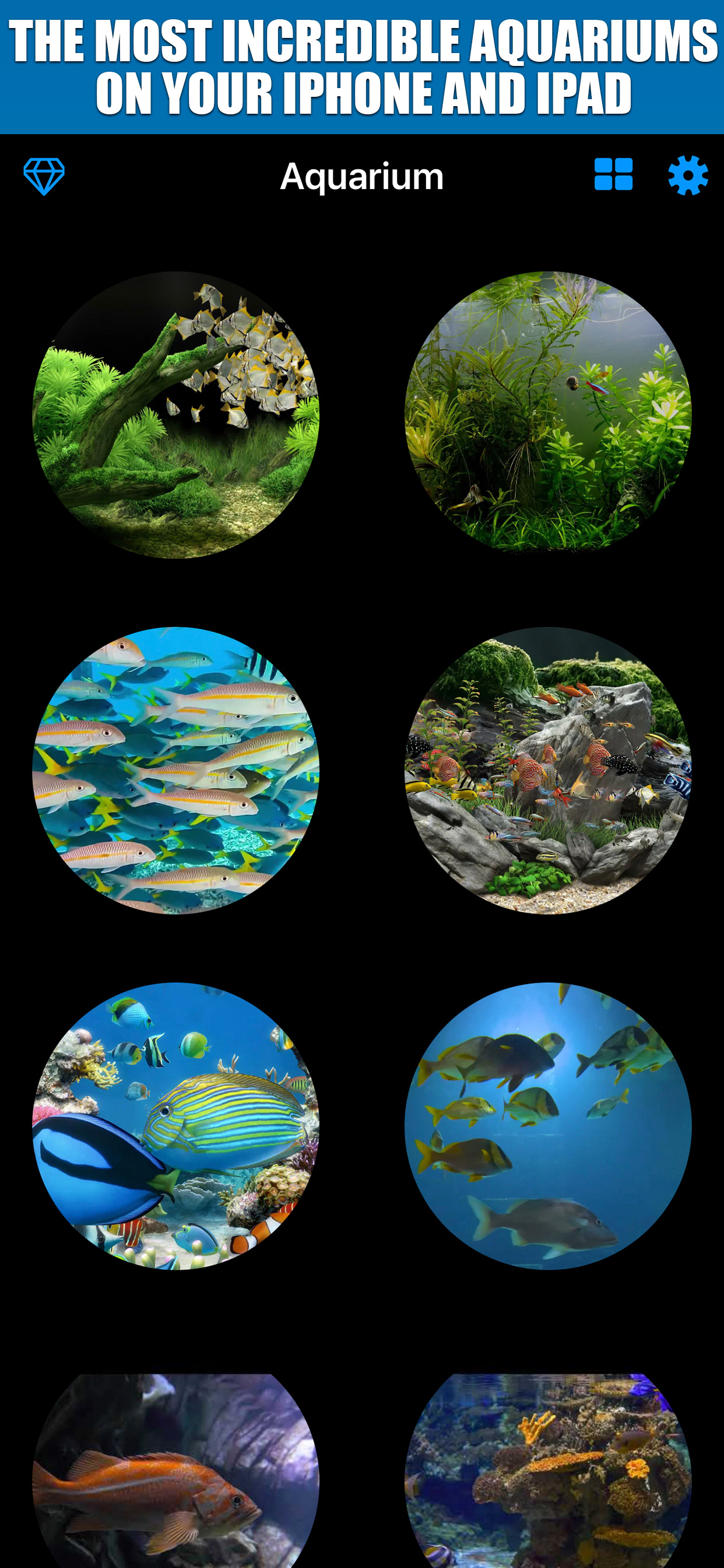 Aquarium TV Screen