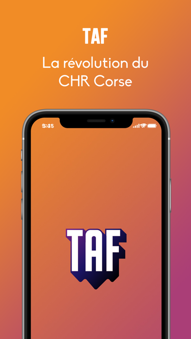TAF La révolution du CHR Corse Screenshot