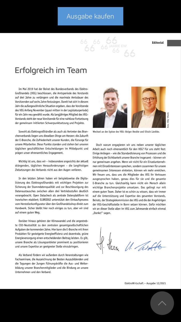 ElektroWirtschaft VEG