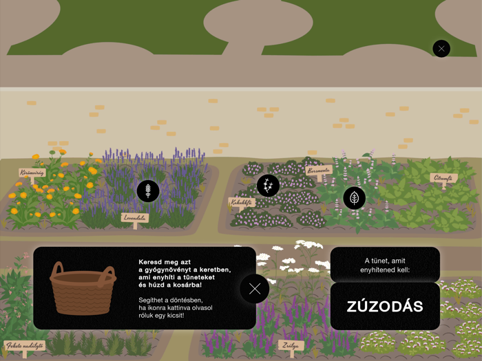 Gyógyító növények számos bajra