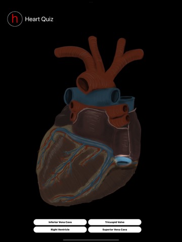 Human Heart Anatomy Quizのおすすめ画像3
