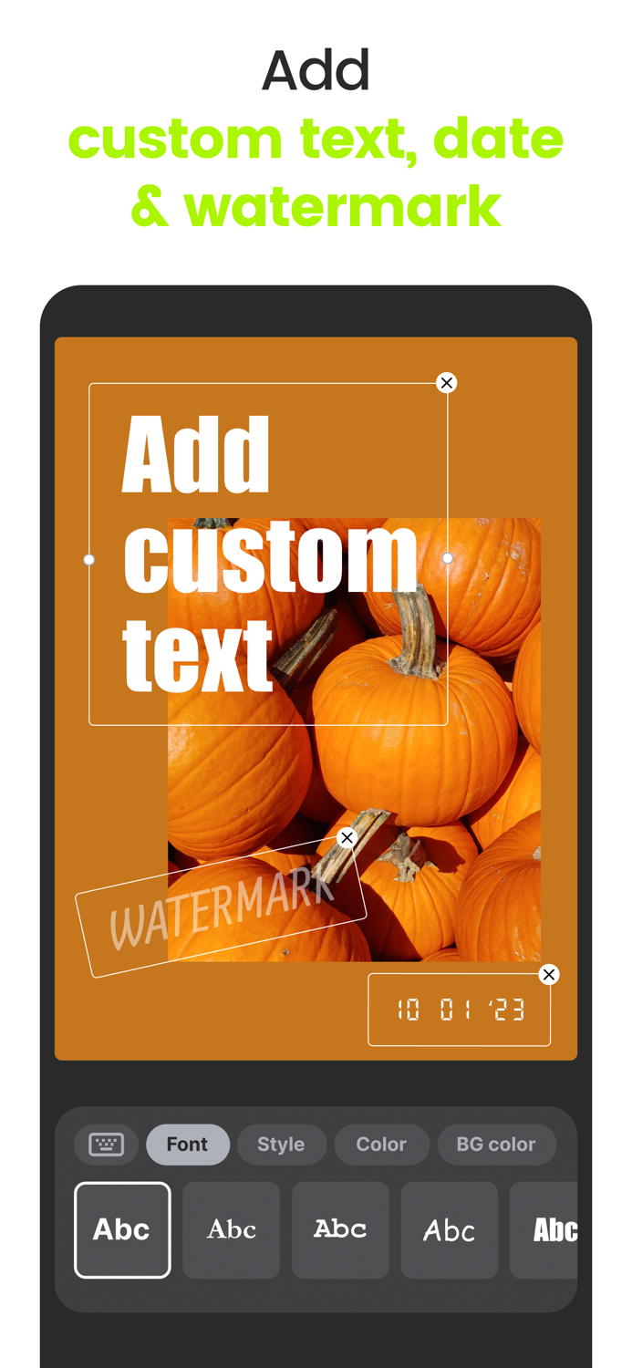 Croc Photo - Resize and No Crop