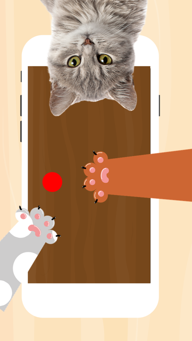 猫 遊ぶ : レーザーポインター : cat gamesのおすすめ画像1