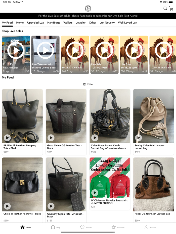 That Crazy Handbag Lady