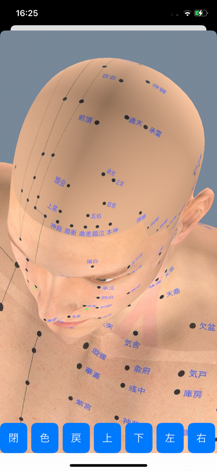 経絡ツボ3D